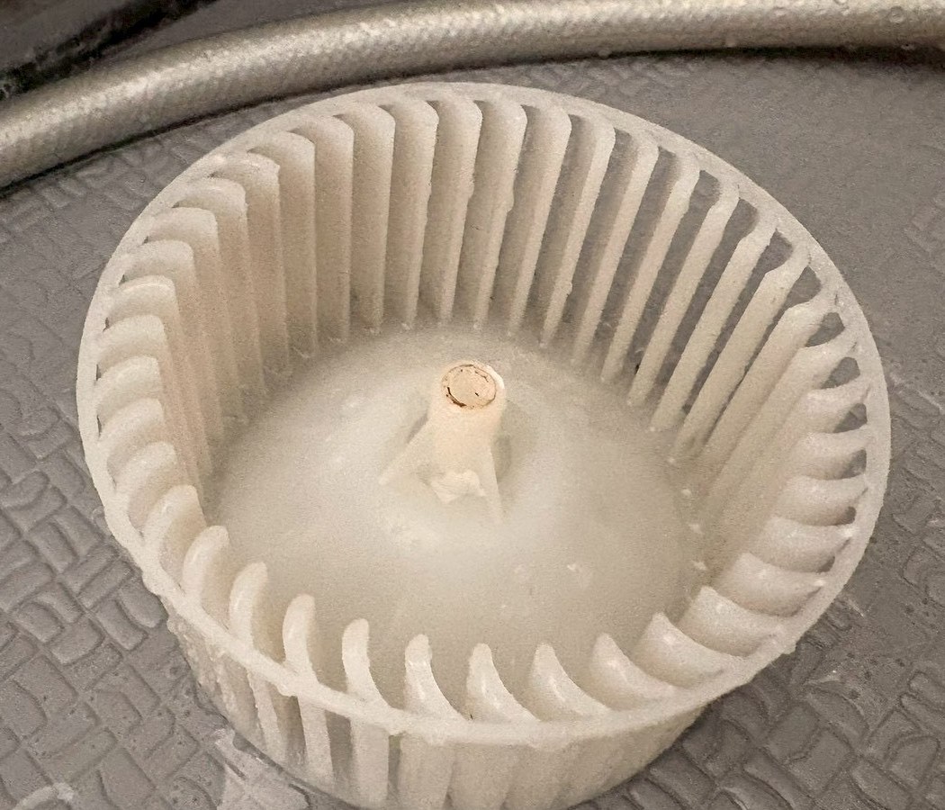 浴室換気扇ファン清掃後